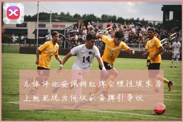东体评论安佩姆红牌合理性埃朱马上轮犯规为何仅获黄牌引争议